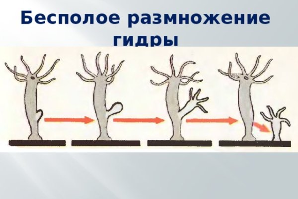 Kraken зеркала gigageek ru