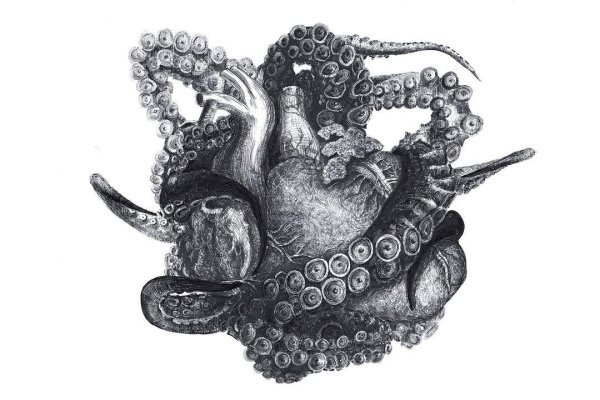 Kraken tor song