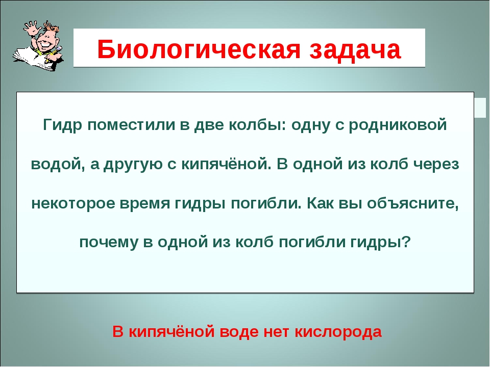 Кракен даркнет текст
