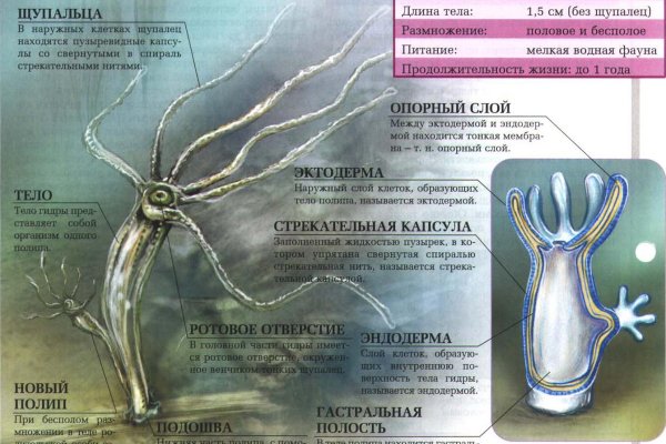 Кракен вход kr2web in