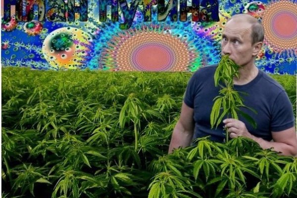 Зеркало на кракен