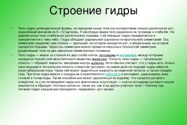 Кракен шеринг