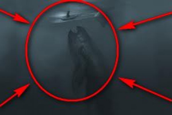 Kraken что это за магазин