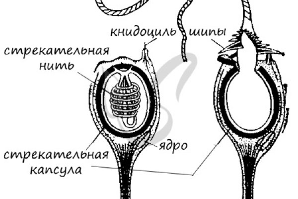 Кракен сайт что будет если зайти