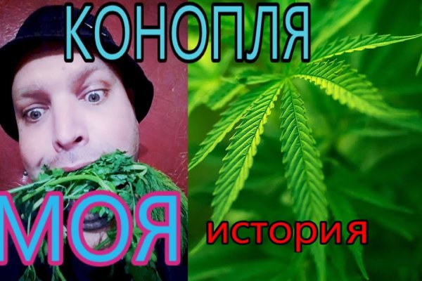 Что такое кракен в интернете