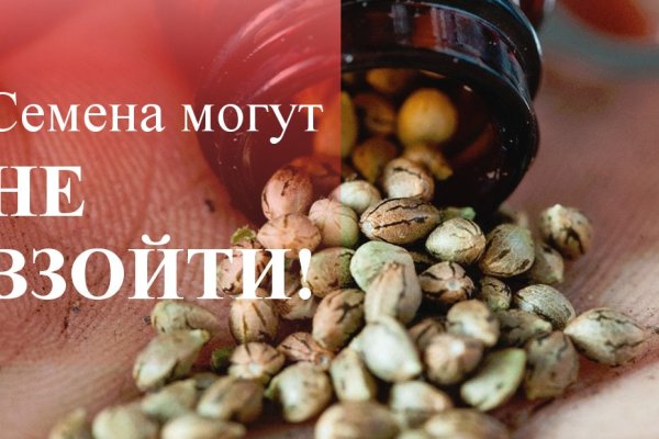 Кракен орг
