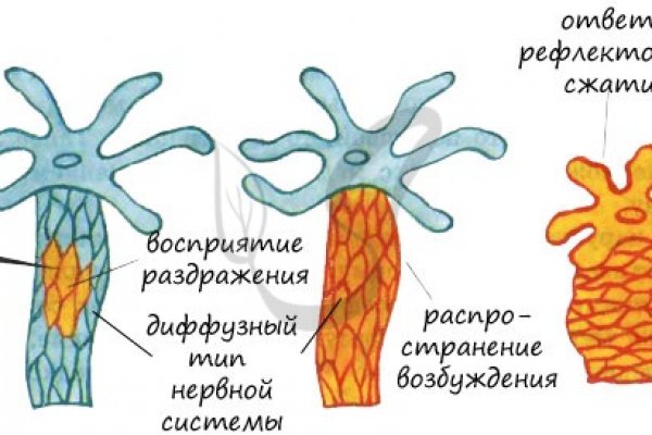 Кракен тгк