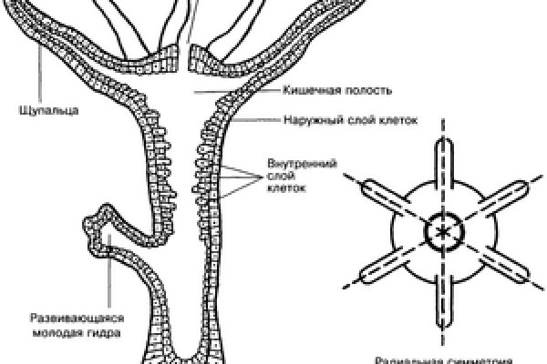 Kraken адрес onion