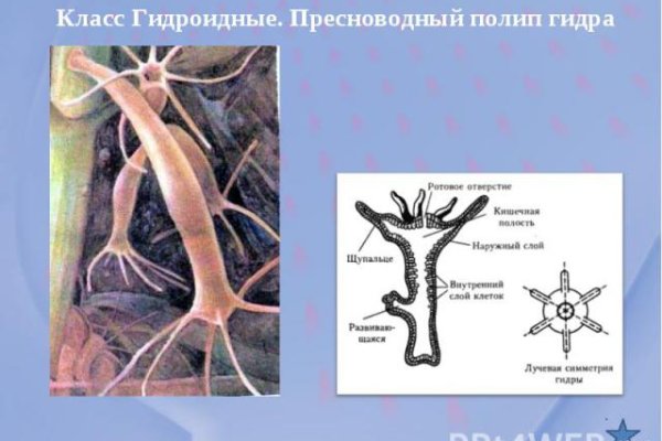 Кракен онион ссылки