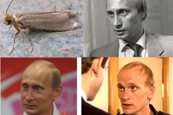 Ссылки на даркнет сайты