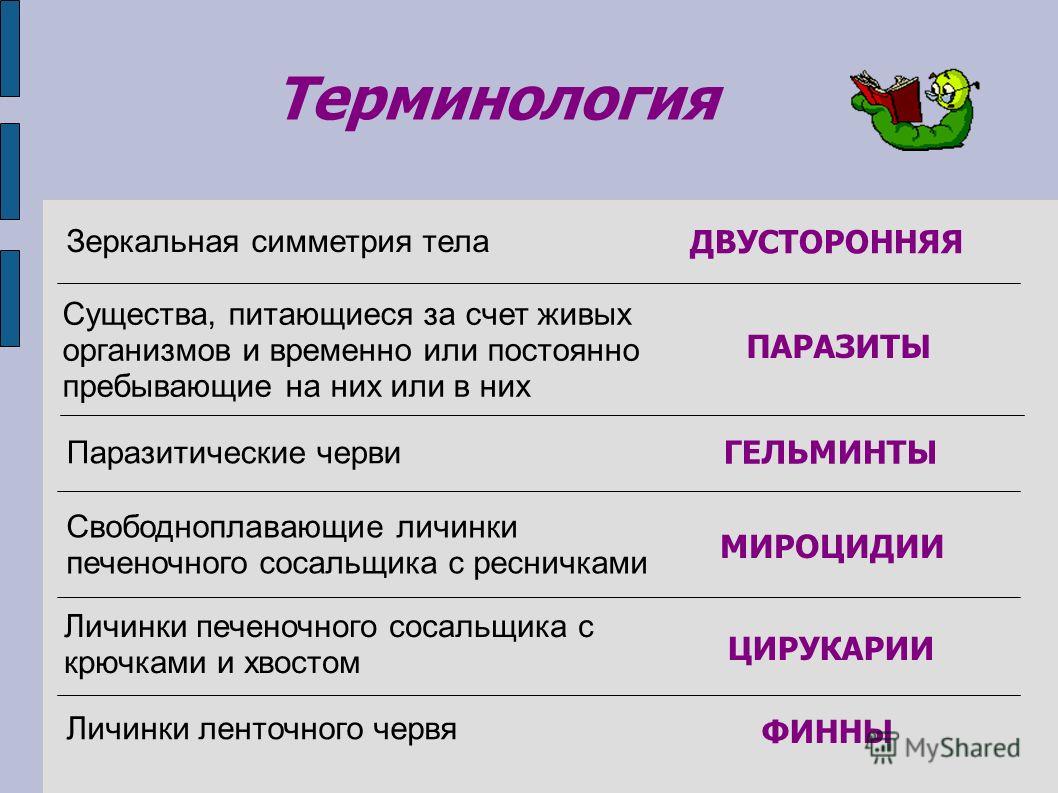 Кракен зеркало 2025